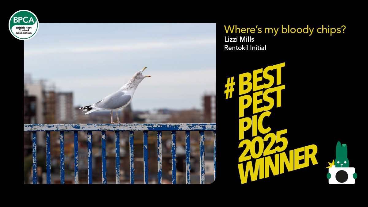 best-pest-pic-2025-winner-hero best-pest-pic-2025-winner-hero